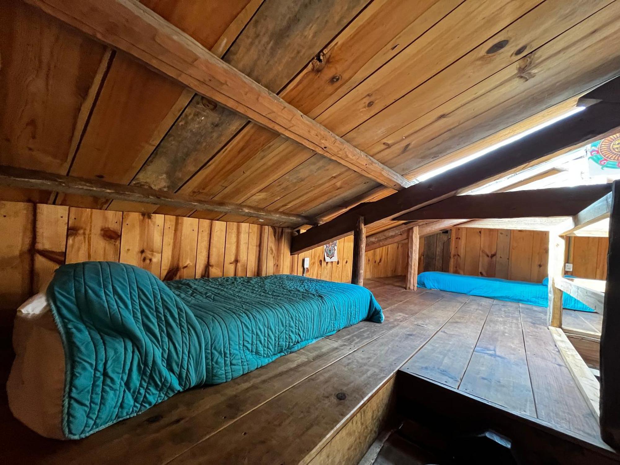 The Coffee Bean Hostel San Cristóbal de Las Casas 외부 사진