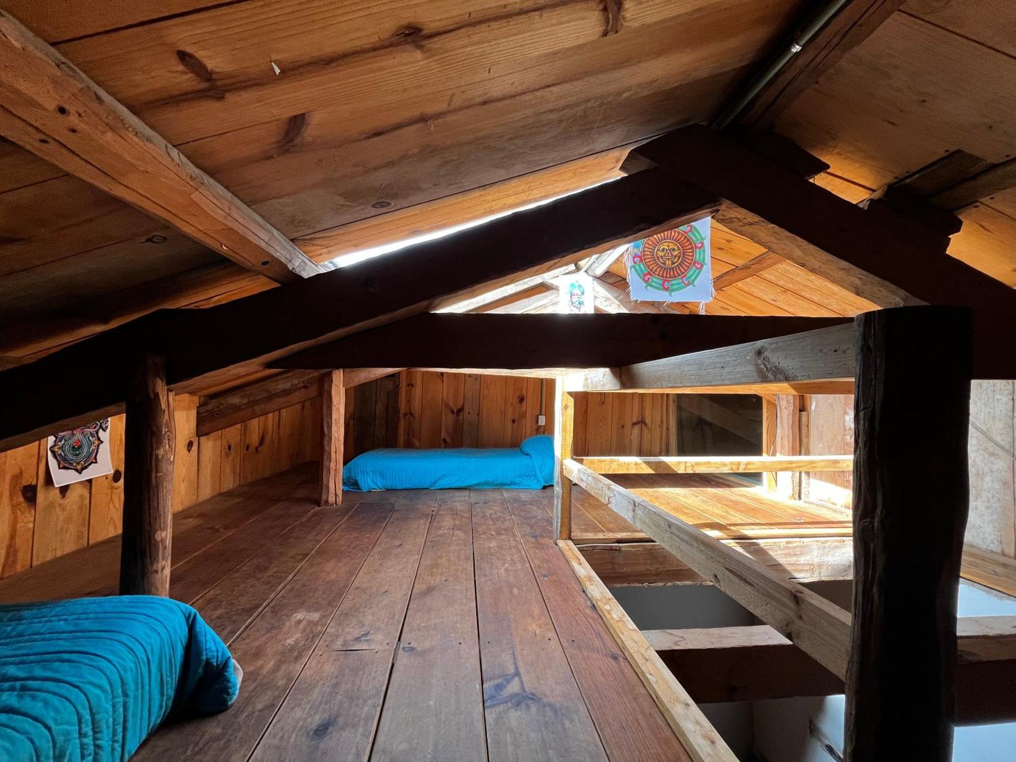 The Coffee Bean Hostel San Cristóbal de Las Casas 외부 사진