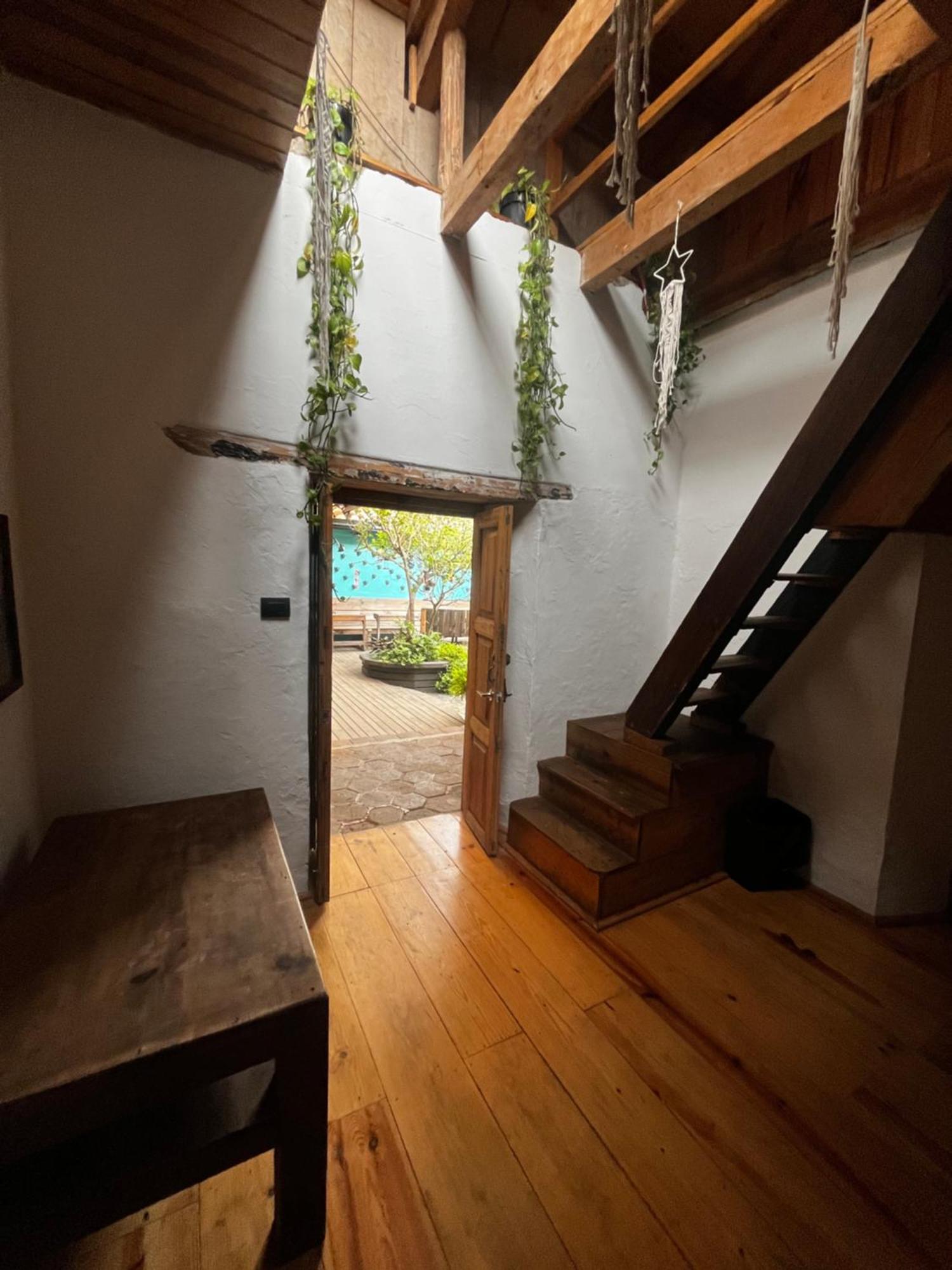 The Coffee Bean Hostel San Cristóbal de Las Casas 외부 사진