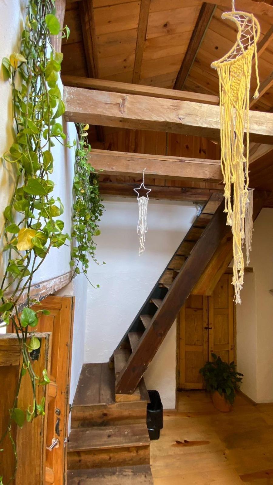 The Coffee Bean Hostel San Cristóbal de Las Casas 외부 사진